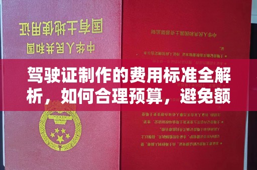 武隆驾驶证制作的费用标准全解析，如何合理预算，避免额外支出